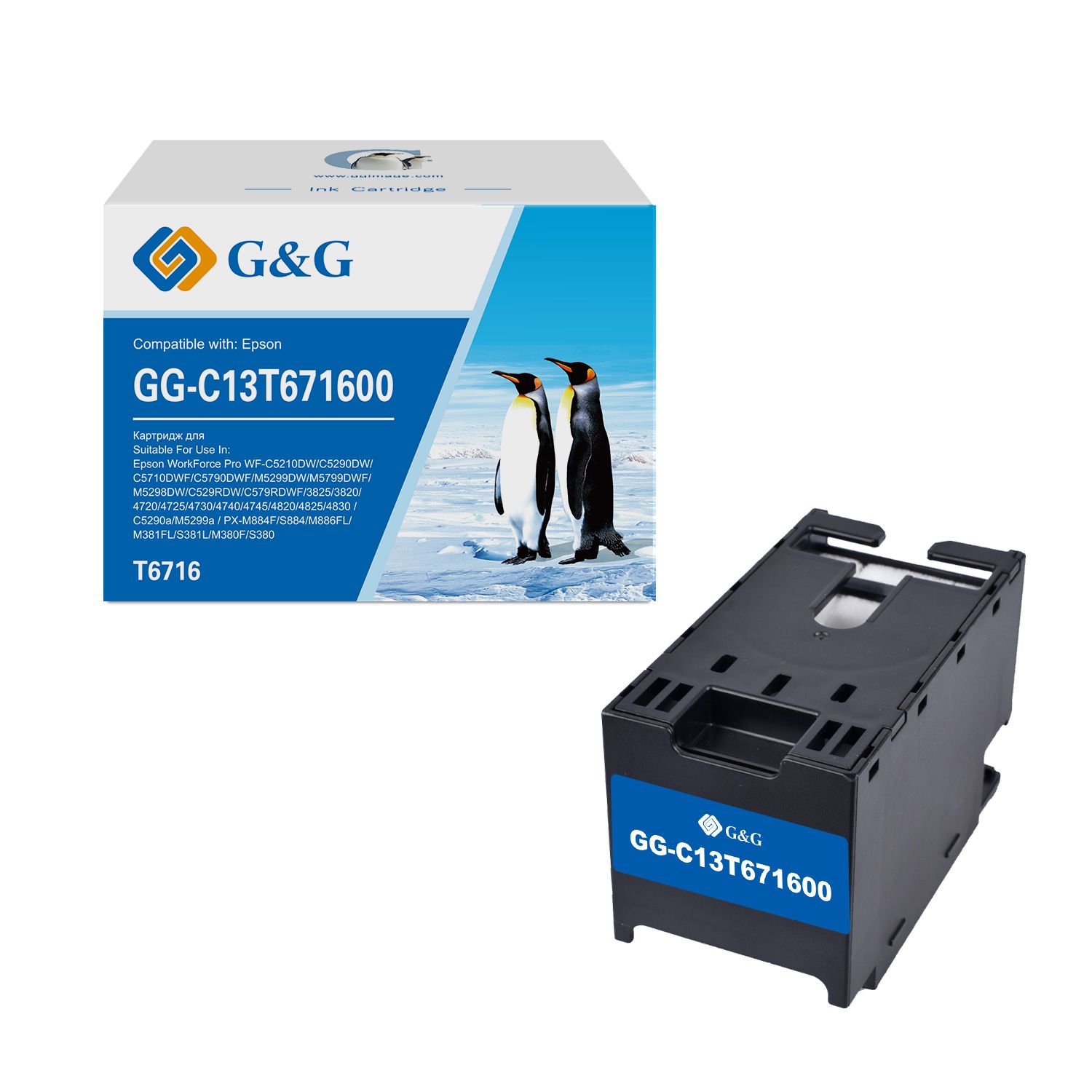 gg-c13t671600_0